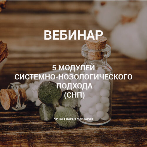 5 модулей системно-нозологический подхода 1-01